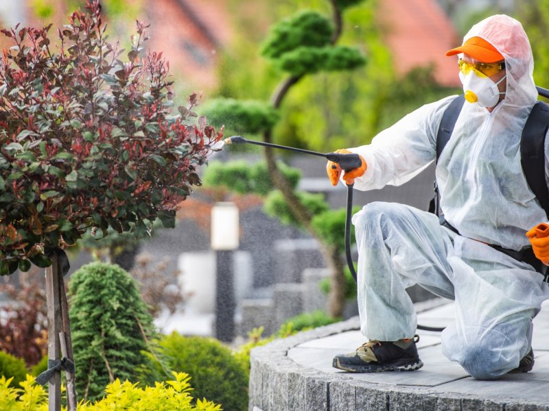 Lice Haşere İlaçlama