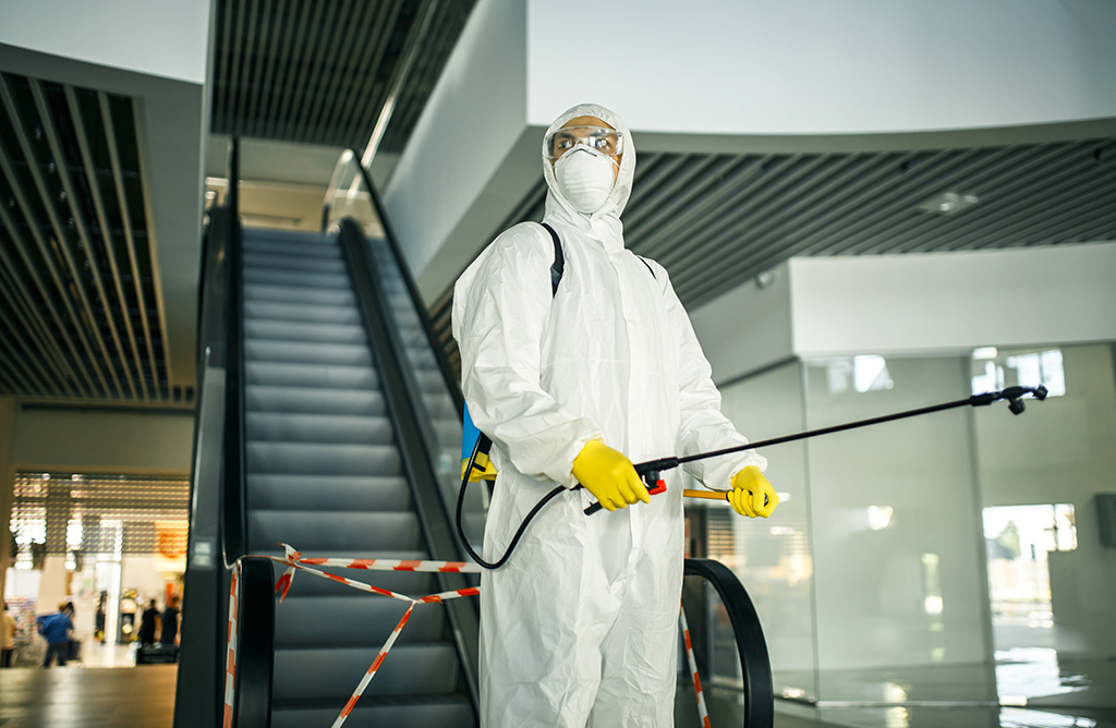 Lice Haşere İlaçlama